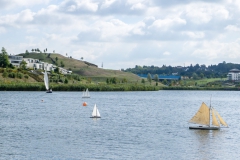 auf dem Teich.