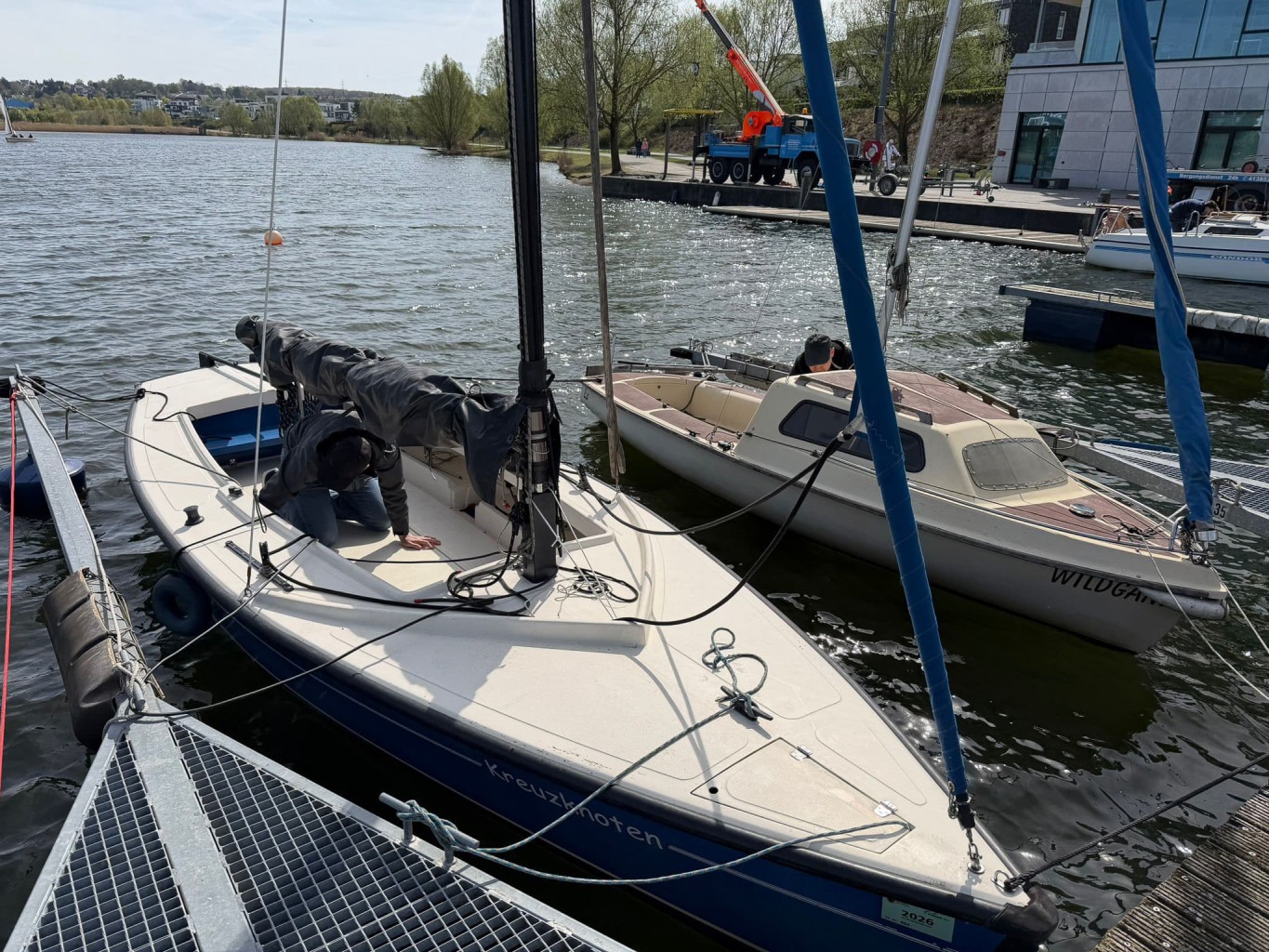 Die Kreuzknoten und die Wildgans am Steg.