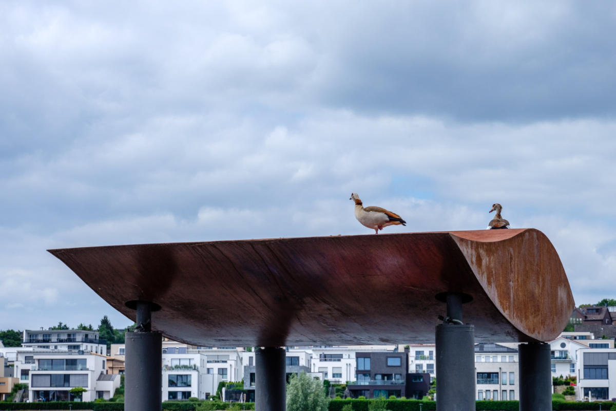 20180613_1449kreuzknoten_ev