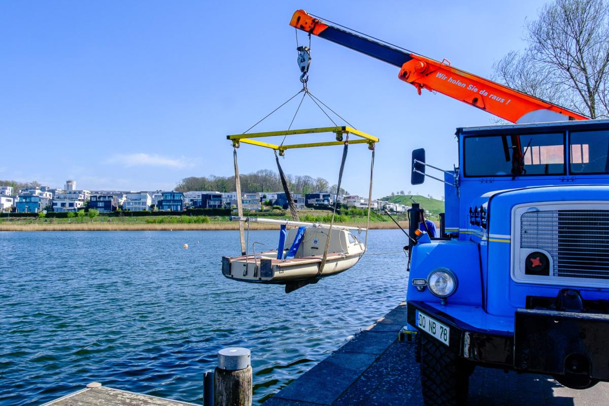 Die Wildgans am Kran.